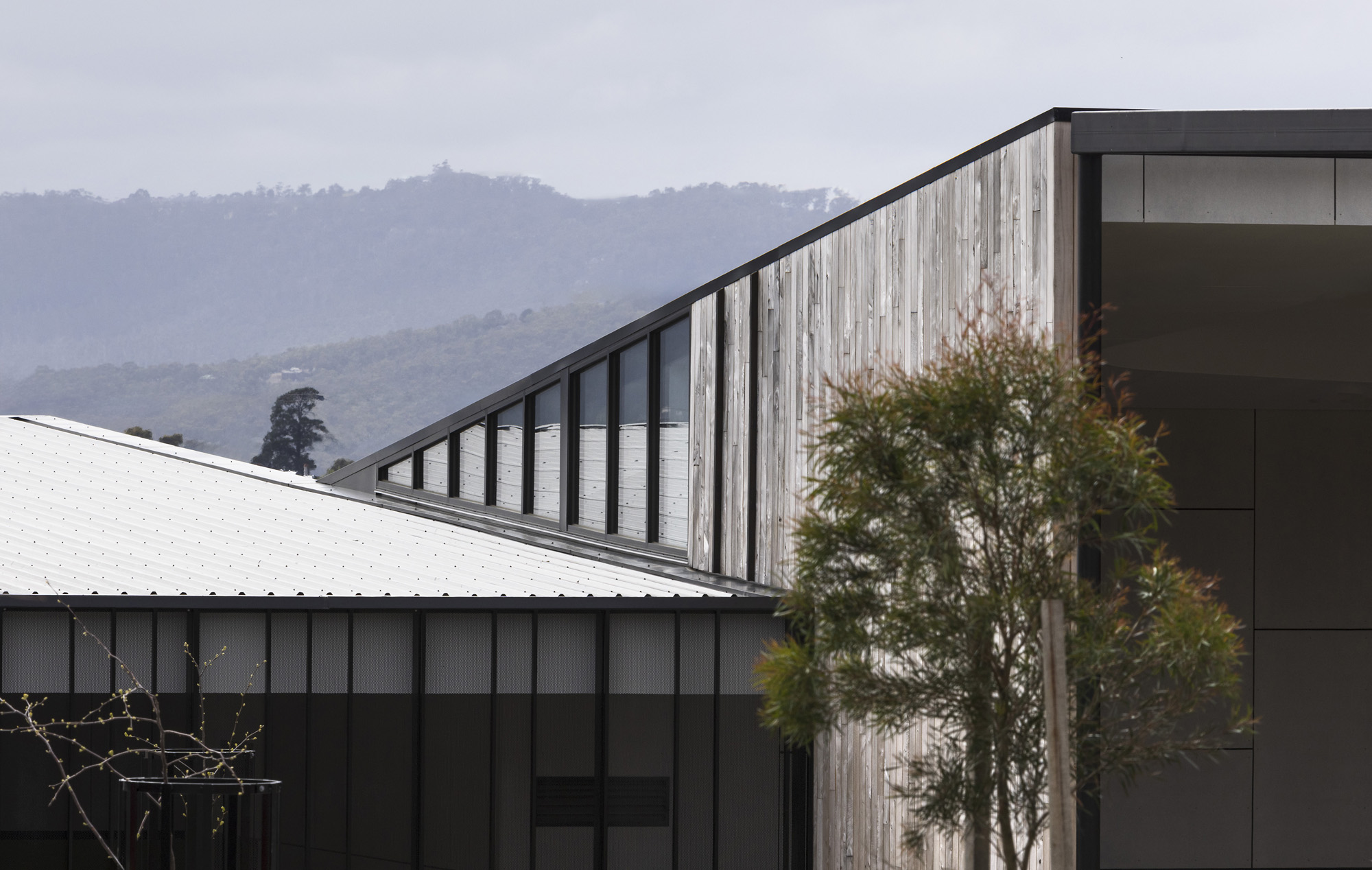 Liminal Architecture Dominic College K-2