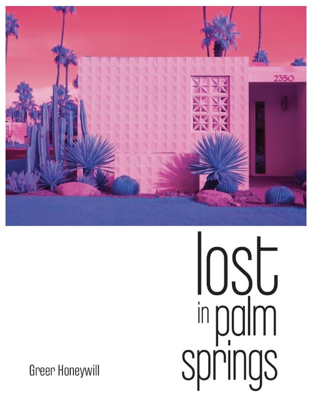 Greer Honeywill Lost in Palm Springs book cover