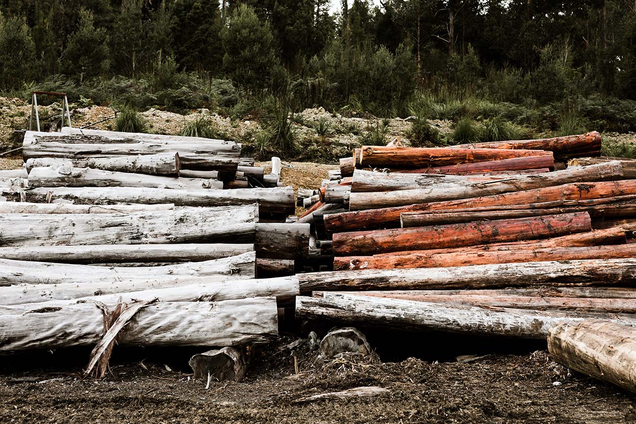 Hydrowood Creative Conversation image woodpile