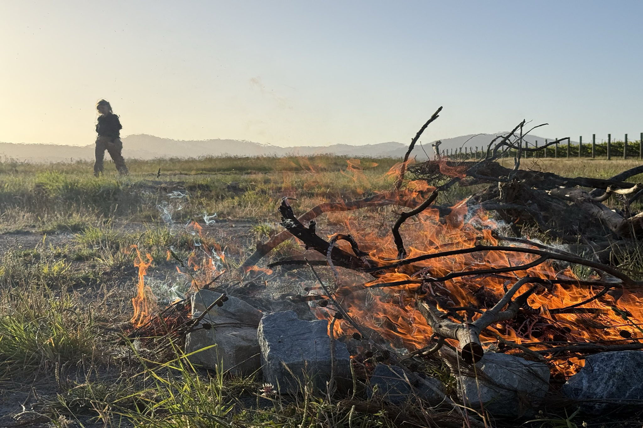 Imagining on Country - NAIDOC Week 2026 - 50 Years of Deadly