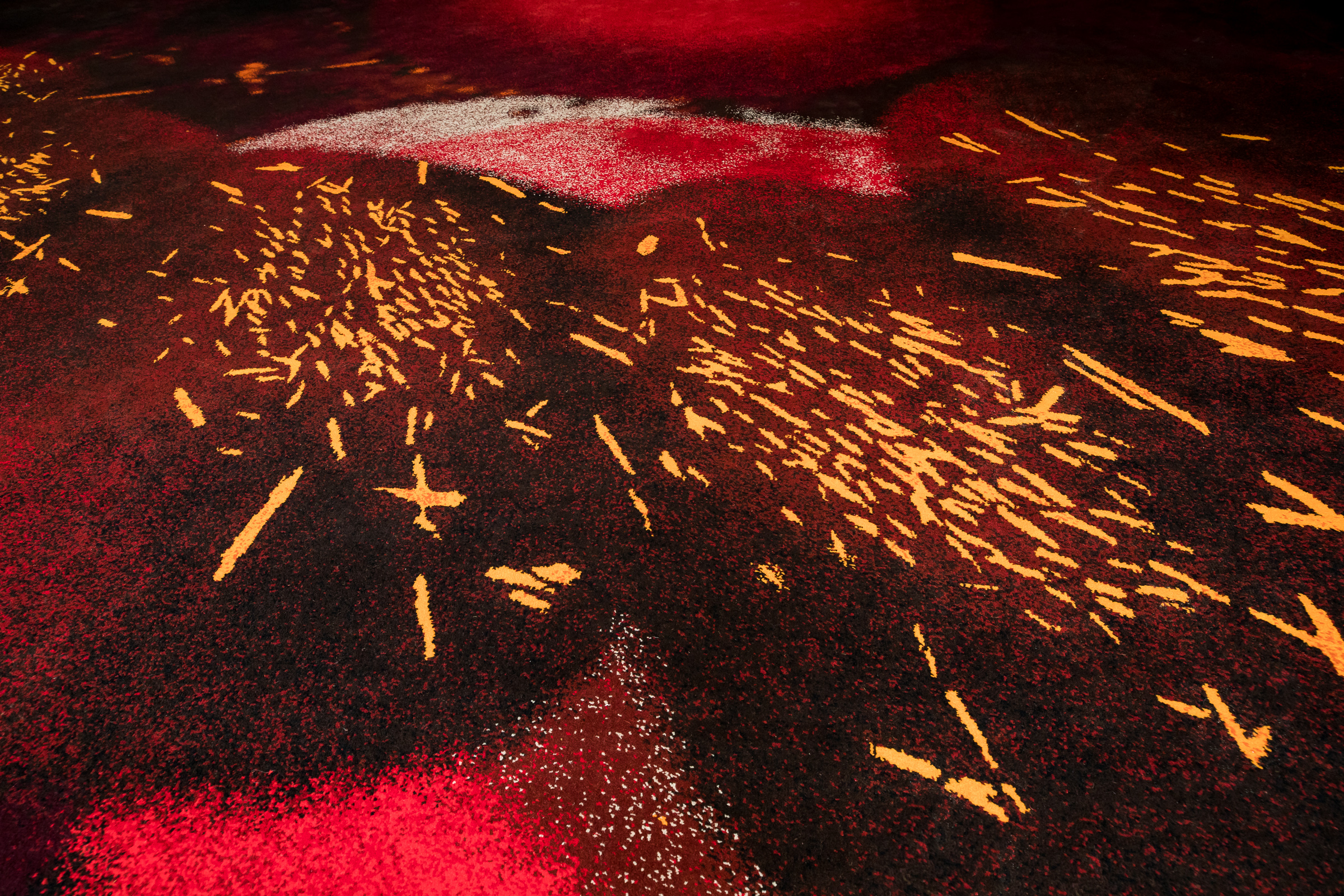 The Hedberg Dance of the Banksia Wicks