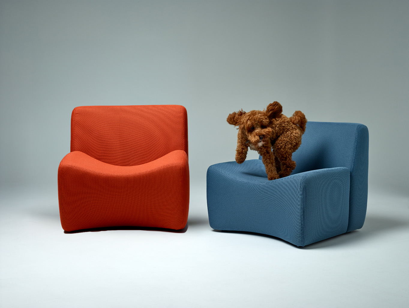 LIMINAL Objects Ziggy Lounge Chair