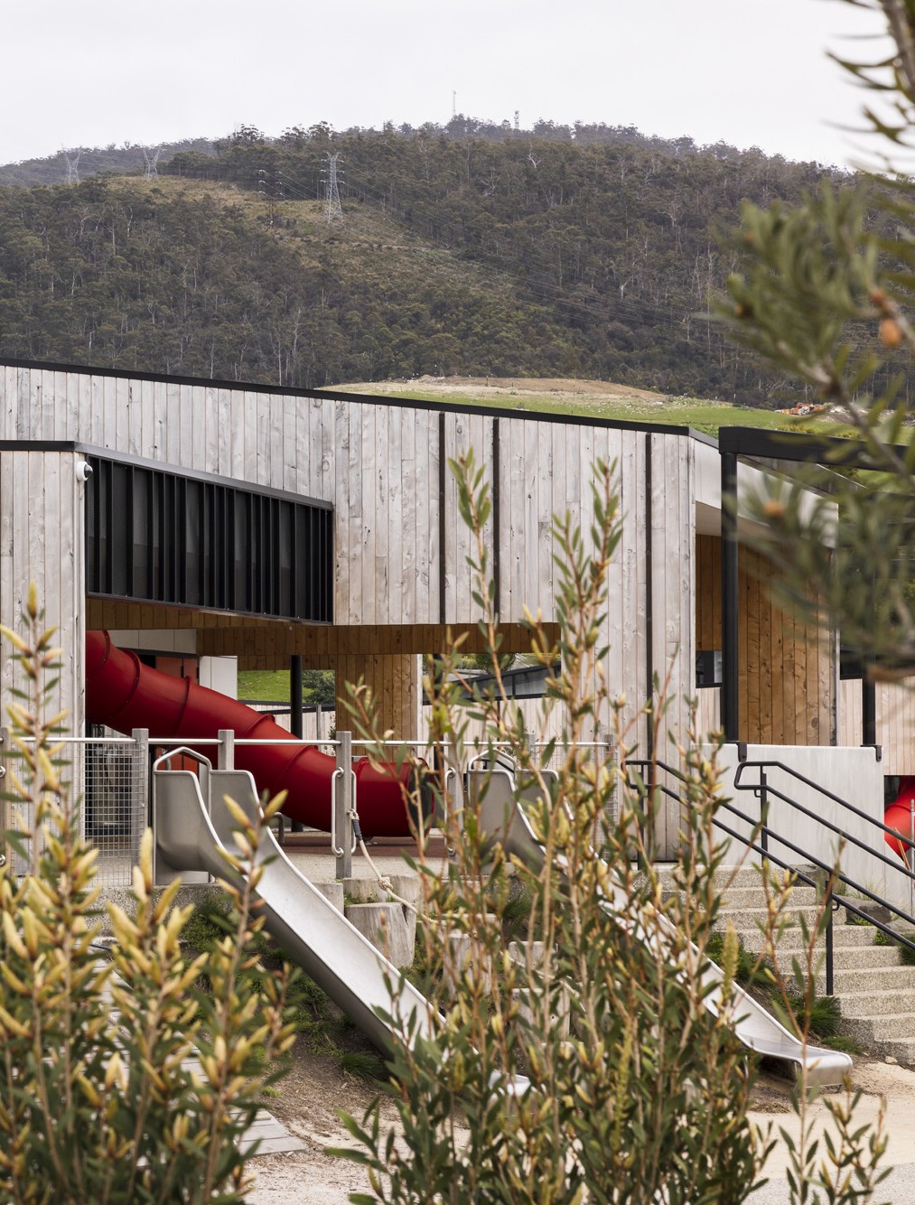 Dominic College Thumbnail