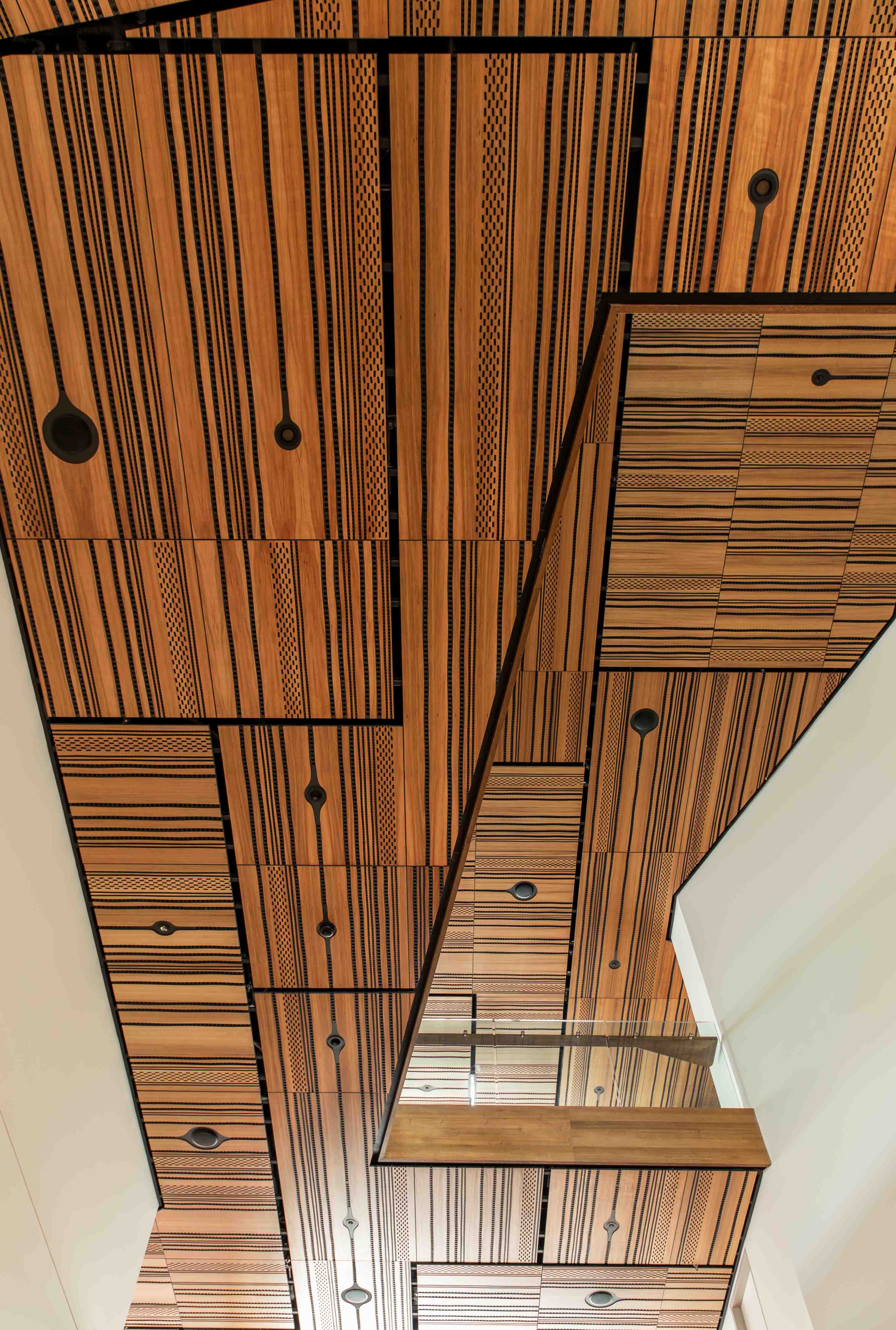 hedberg blackwood ceiling detail